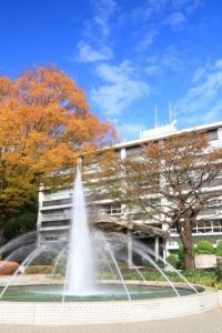 電通大の正門から入ると、噴水のあるこの光景が出迎えてくれた。